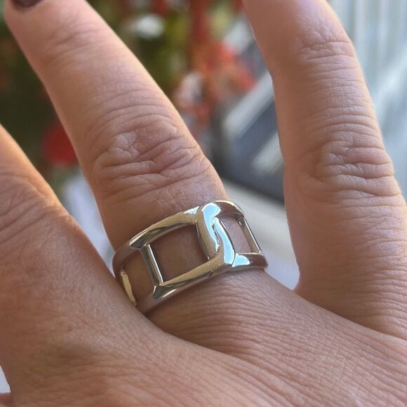 The Double Link Ring in 925 Silver - Picture 1 of 7